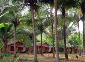 Nature's Nest - Goa 